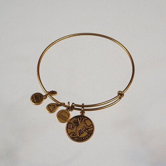 ALEX & ANI Scorpio Bracelet Energy Charm Gold Tone Bangle 2013 - Picture 3 of 6
